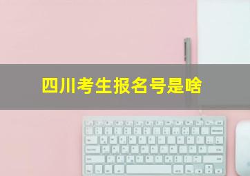 四川考生报名号是啥