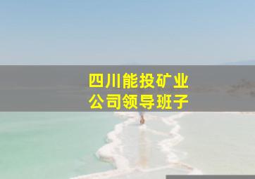 四川能投矿业公司领导班子