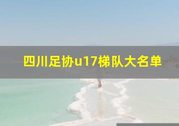 四川足协u17梯队大名单