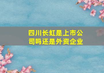 四川长虹是上市公司吗还是外资企业