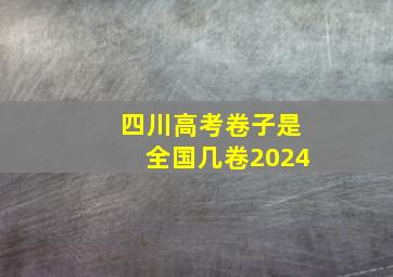 四川高考卷子是全国几卷2024