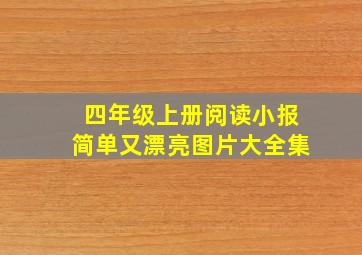 四年级上册阅读小报简单又漂亮图片大全集