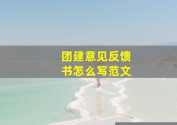 团建意见反馈书怎么写范文