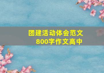 团建活动体会范文800字作文高中