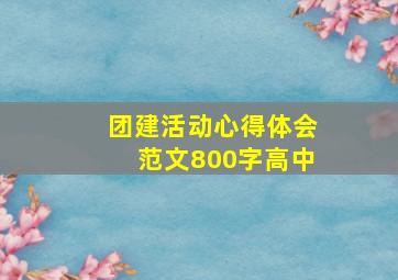 团建活动心得体会范文800字高中