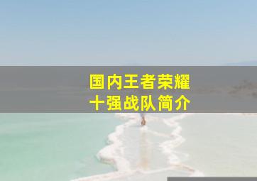 国内王者荣耀十强战队简介