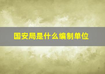 国安局是什么编制单位