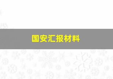 国安汇报材料