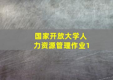 国家开放大学人力资源管理作业1