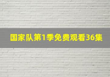 国家队第1季免费观看36集