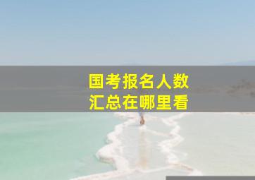 国考报名人数汇总在哪里看