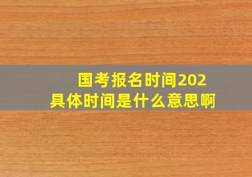 国考报名时间202具体时间是什么意思啊