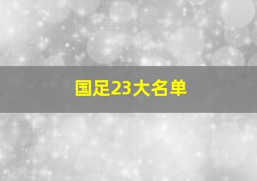 国足23大名单