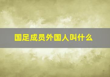 国足成员外国人叫什么