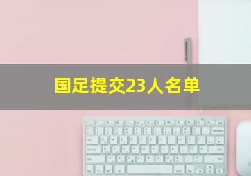 国足提交23人名单