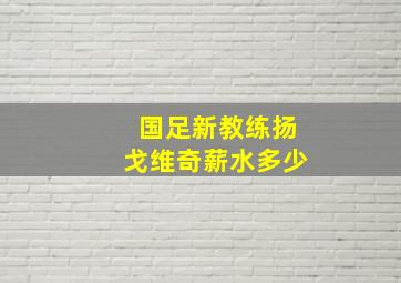 国足新教练扬戈维奇薪水多少