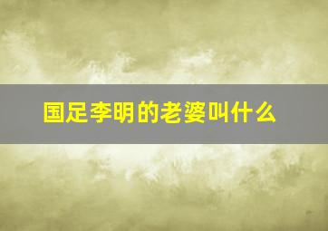 国足李明的老婆叫什么