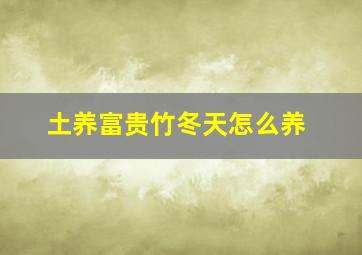 土养富贵竹冬天怎么养