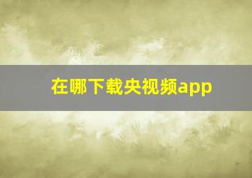 在哪下载央视频app