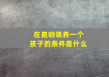 在昆明领养一个孩子的条件是什么