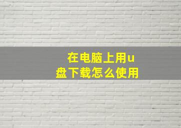 在电脑上用u盘下载怎么使用