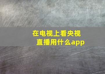 在电视上看央视直播用什么app