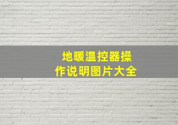 地暖温控器操作说明图片大全