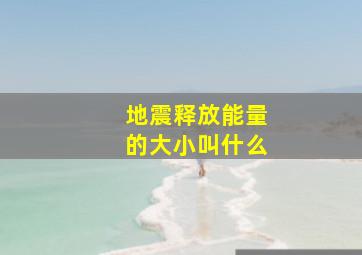 地震释放能量的大小叫什么