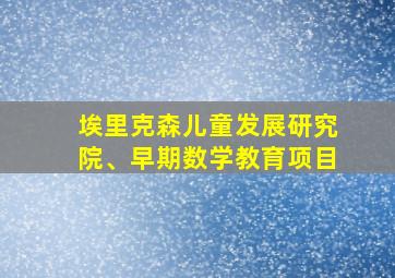 埃里克森儿童发展研究院、早期数学教育项目