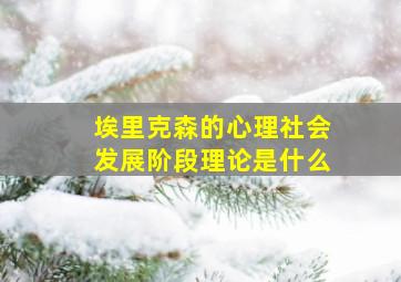 埃里克森的心理社会发展阶段理论是什么