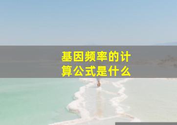 基因频率的计算公式是什么