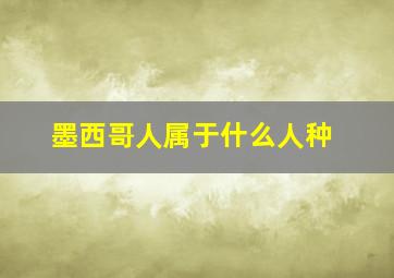 墨西哥人属于什么人种