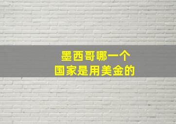 墨西哥哪一个国家是用美金的