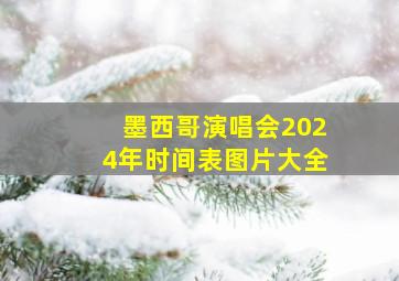 墨西哥演唱会2024年时间表图片大全