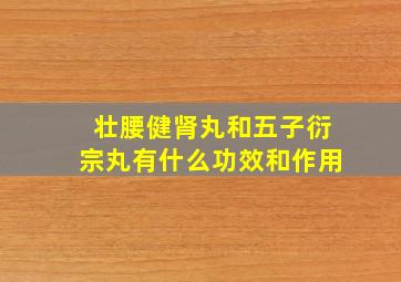 壮腰健肾丸和五子衍宗丸有什么功效和作用