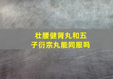 壮腰健肾丸和五子衍宗丸能同服吗