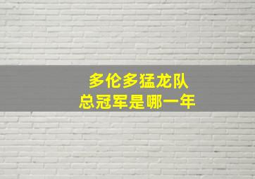 多伦多猛龙队总冠军是哪一年