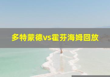 多特蒙德vs霍芬海姆回放