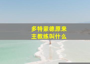 多特蒙德原来主教练叫什么