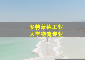 多特蒙德工业大学物流专业