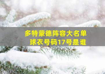 多特蒙德阵容大名单球衣号码17号是谁