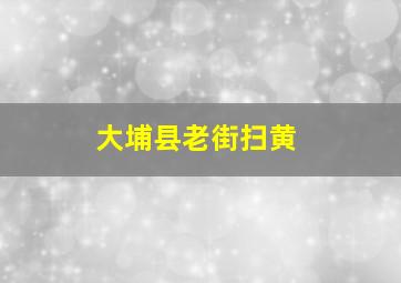 大埔县老街扫黄