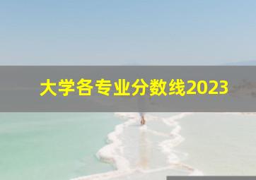 大学各专业分数线2023