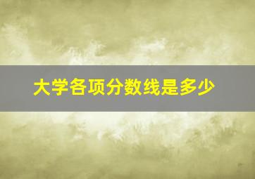 大学各项分数线是多少