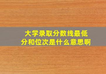 大学录取分数线最低分和位次是什么意思啊