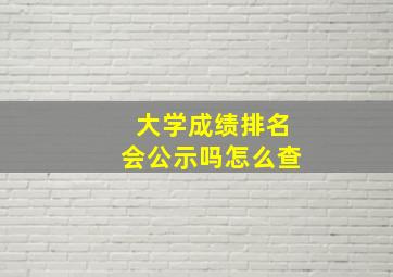 大学成绩排名会公示吗怎么查