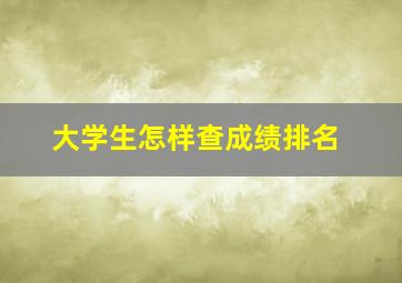 大学生怎样查成绩排名