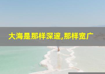 大海是那样深邃,那样宽广