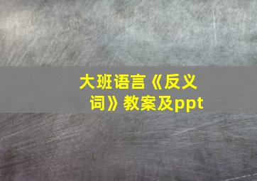 大班语言《反义词》教案及ppt