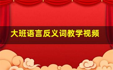 大班语言反义词教学视频